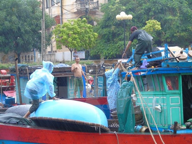 台风“杜苏芮”来袭 中部各地遭强降雨 ảnh 1