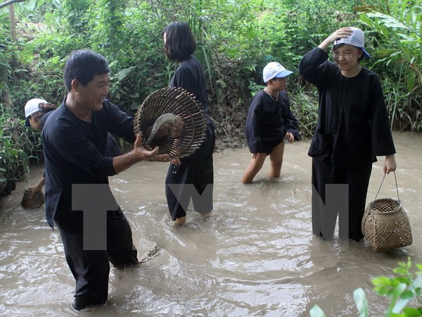 芹苴市大力开发特色旅游产品 ảnh 1 芹苴市大力开发特色旅游产品 ảnh 1