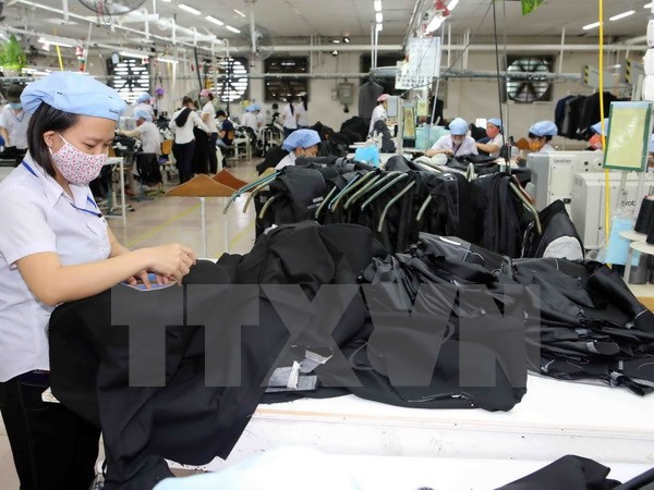 美国波士顿咨询集团:越南中产阶层人数蓬勃发展 ảnh 1