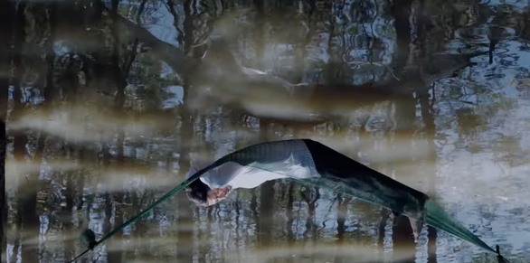 越南影片《感怀往事》即将参加釜山电影节 ảnh 2