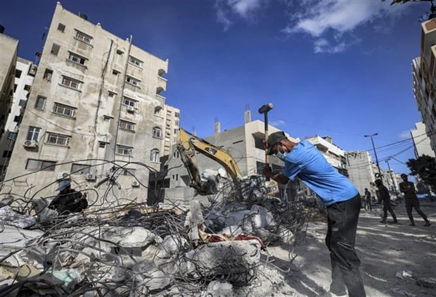 越南对加沙地带暴力活动和人道主义局势急剧恶化感到关切 ảnh 1