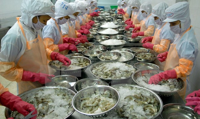 今年前7月全国出口额增长近19% ảnh 1 今年前7月全国出口额增长近19% ảnh 1