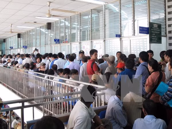 年初至今全国登革热病例7.1万例 ảnh 1