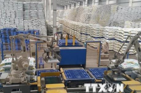 越南对进口DAP和MAP化肥产品征收临时保障措施税 ảnh 1 越南对进口DAP和MAP化肥产品征收临时保障措施税 ảnh 1