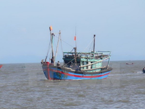 越南强烈反对对渔民使用武力或以武力威胁渔民的行为 ảnh 1