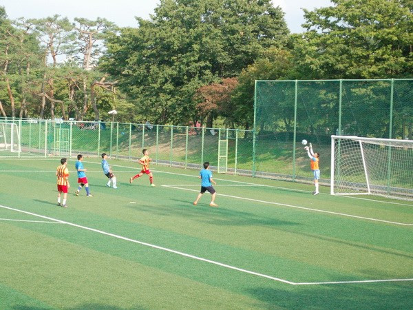 第10届在韩越南大学生运动会落下帷幕 ảnh 2 第10届在韩越南大学生运动会落下帷幕 ảnh 2