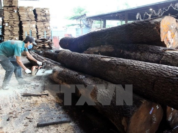 今年前7月全国出口额增长近19% ảnh 2 今年前7月全国出口额增长近19% ảnh 2