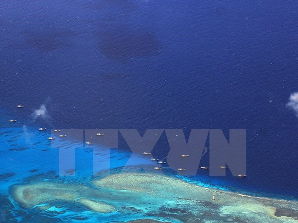 外交部发言人黎氏秋姮:东盟应该尽早拥有《东海行为准则》 ảnh 1 外交部发言人黎氏秋姮:东盟应该尽早拥有《东海行为准则》 ảnh 1