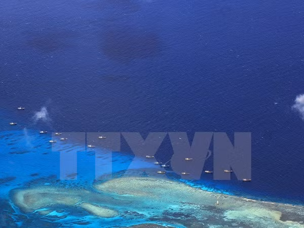 外交部发言人黎氏秋姮：东盟应该尽早拥有《东海行为准则》 ảnh 1