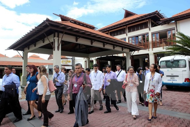 越南岘港市抓紧时间完成APEC领导人非正式会议各方面准备工作 ảnh 1 越南岘港市抓紧时间完成APEC领导人非正式会议各方面准备工作 ảnh 1