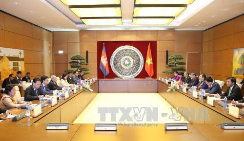 越南国会副主席丛氏放同柬埔寨参议院第一副主席奈北纳举行会谈 ảnh 1