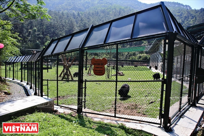 黑熊的新屋 ảnh 2