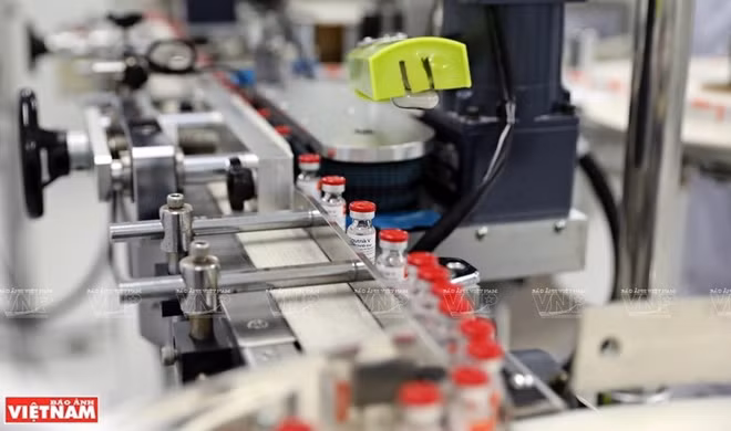 决心战胜新冠疫情 实现民族强大志向 ảnh 2