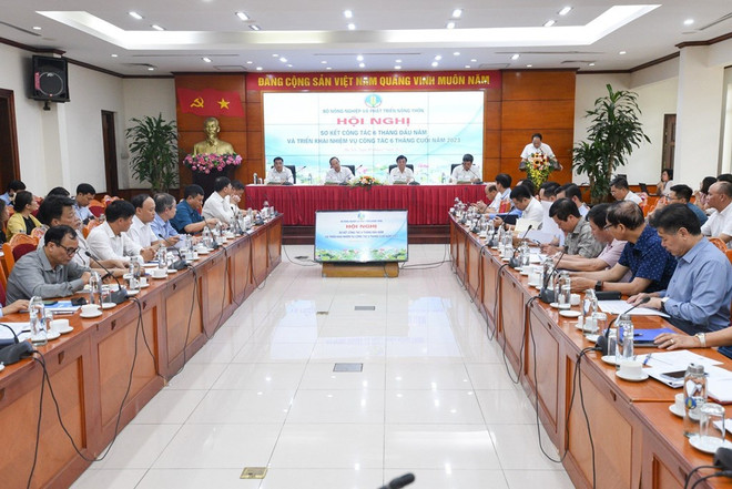 越南农业与农村发展部长黎明欢:抓住机遇 促进大米出口 ảnh 2 越南农业与农村发展部长黎明欢:抓住机遇 促进大米出口 ảnh 2