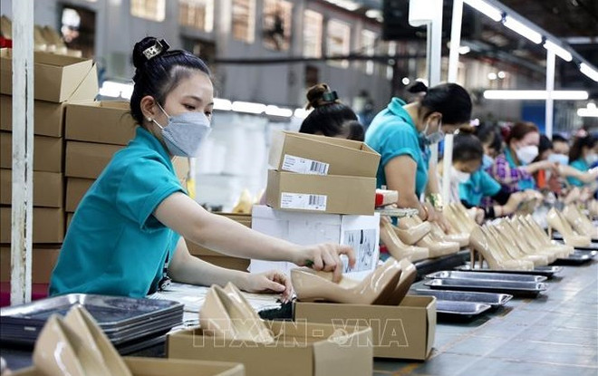 越南需培养满足各行业和领域需求的高素质人力资源 ảnh 2 越南需培养满足各行业和领域需求的高素质人力资源 ảnh 2