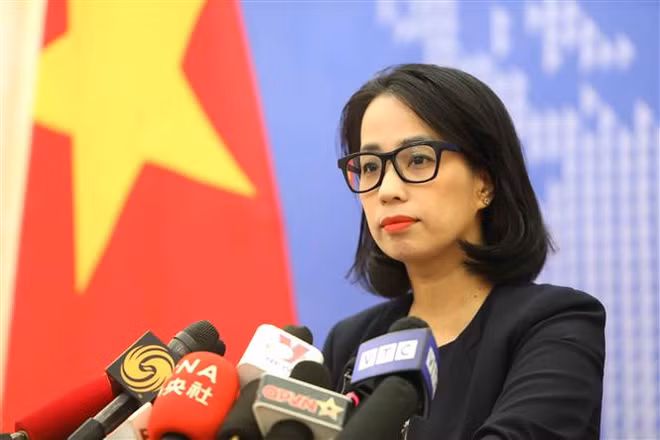 越南外交部例行记者会：及时为受法国骚乱影响的越南公民提供保护 ảnh 1