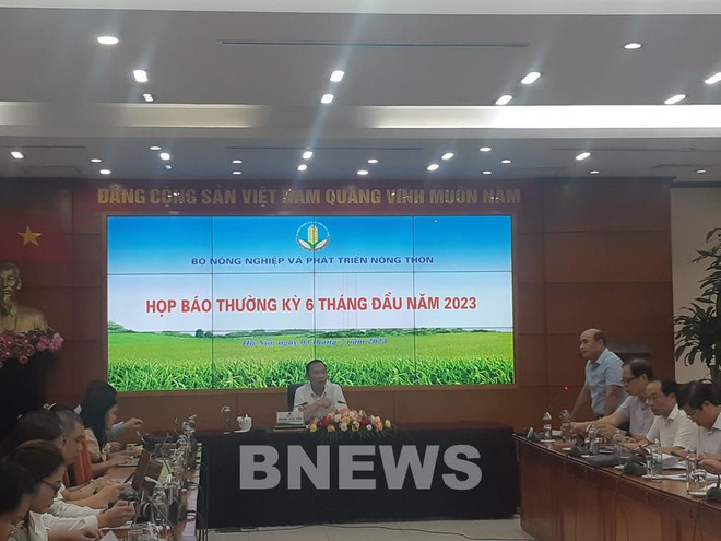 前六月经济形势:农业部门紧盯三大计划落实 ảnh 1 前六月经济形势:农业部门紧盯三大计划落实 ảnh 1