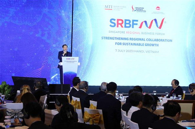 经济是推动越南与新加坡关系迈上新台阶的动力 ảnh 1 经济是推动越南与新加坡关系迈上新台阶的动力 ảnh 1