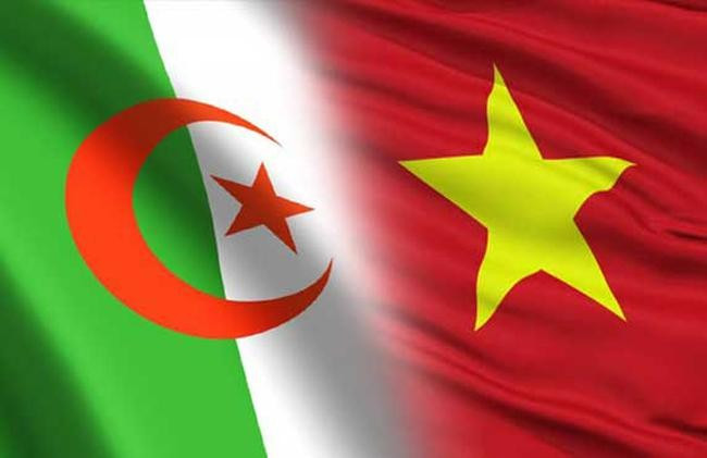 越南代表当选阿尔及利亚革命国际之友协会执行委员会委员 ảnh 1 越南代表当选阿尔及利亚革命国际之友协会执行委员会委员 ảnh 1
