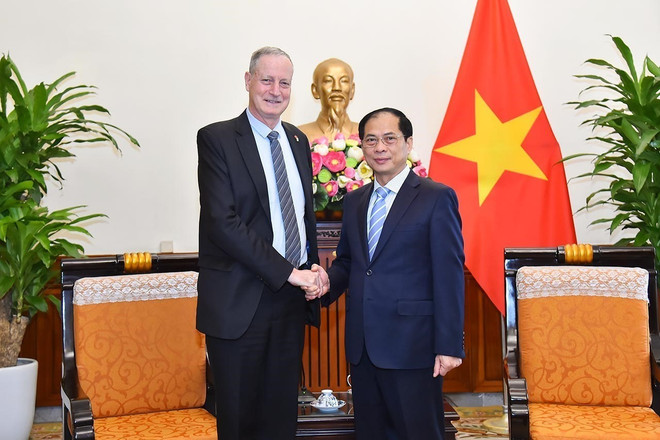 越南外交部部长裴青山会见以色列驻越大使 ảnh 1 越南外交部部长裴青山会见以色列驻越大使 ảnh 1