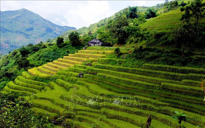 越南成为东南亚地区深受欢迎的新旅游目的地 ảnh 1 越南成为东南亚地区深受欢迎的新旅游目的地 ảnh 1
