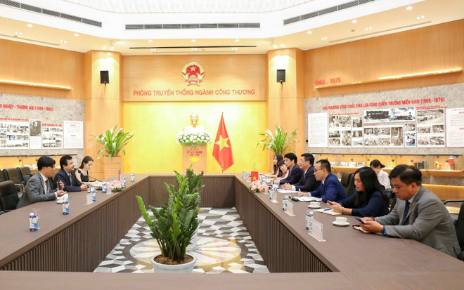 越南与智利促进多个领域的贸易往来 ảnh 2