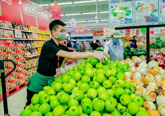 越南蔬果主要出口市场增长良好 ảnh 1 越南蔬果主要出口市场增长良好 ảnh 1