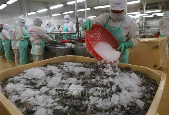 ☀️越通社早安咖啡(2023.9.8) ảnh 5 ☀️越通社早安咖啡(2023.9.8) ảnh 5