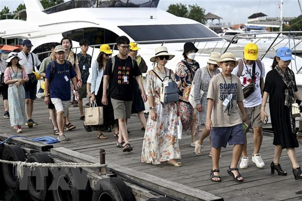 印度尼西亚准备将新冠疫情转为地方流行病 ảnh 1