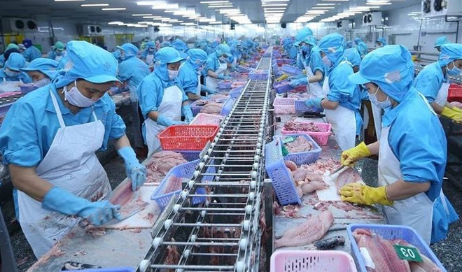 越马建交50周年:两个经济体规模相当 互补性大于竞争性 ảnh 2 越马建交50周年:两个经济体规模相当 互补性大于竞争性 ảnh 2