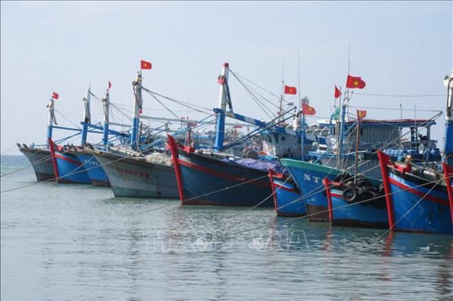 薄辽省多举措致力于解除IUU“黄牌”警告 ảnh 1 薄辽省多举措致力于解除IUU“黄牌”警告 ảnh 1