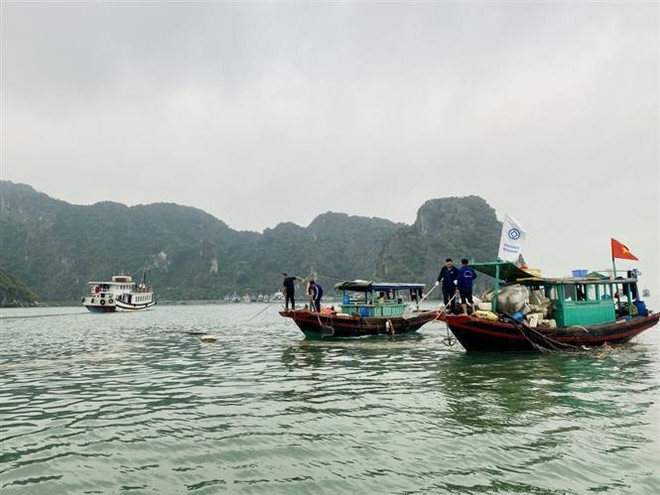下龙市在下龙湾上收集了大量泡沫漂浮物 ảnh 1 下龙市在下龙湾上收集了大量泡沫漂浮物 ảnh 1