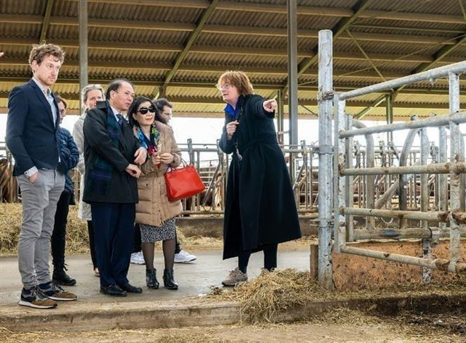 越南与荷兰各地方之间加强合作关系 ảnh 1 越南与荷兰各地方之间加强合作关系 ảnh 1