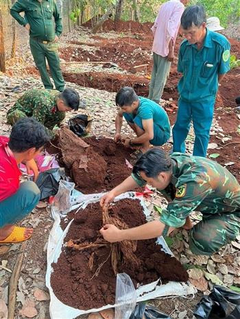 平福省平隆市发现13具烈士遗骸 ảnh 2