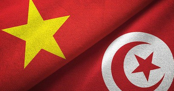  越南国会主席王廷惠向突尼斯领导人致贺电 ảnh 1