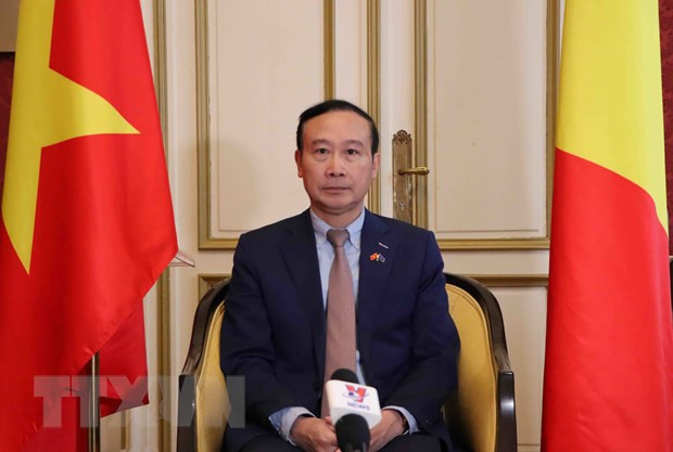 越比关系50周年:把握机遇 挖掘潜力 ảnh 1 越比关系50周年:把握机遇 挖掘潜力 ảnh 1