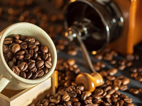 ☕️越通社新闻下午茶(2023.3.27) ảnh 4 ☕️越通社新闻下午茶(2023.3.27) ảnh 4