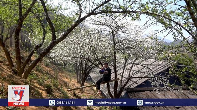 唤醒安沛省隆供村旅游潜力 ảnh 1