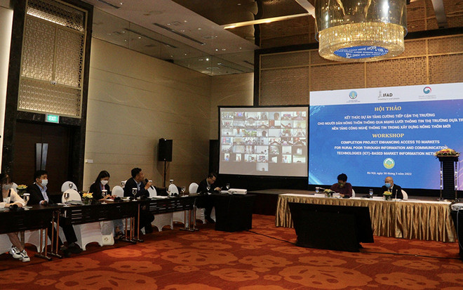 增强越南农民参与市场能力 ảnh 1 增强越南农民参与市场能力 ảnh 1