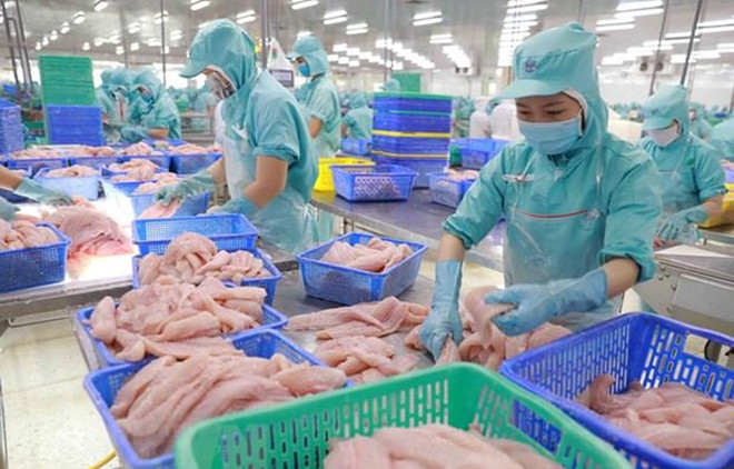 2022年第一季度美国是越南最大的农产品出口市场 ảnh 1 2022年第一季度美国是越南最大的农产品出口市场 ảnh 1