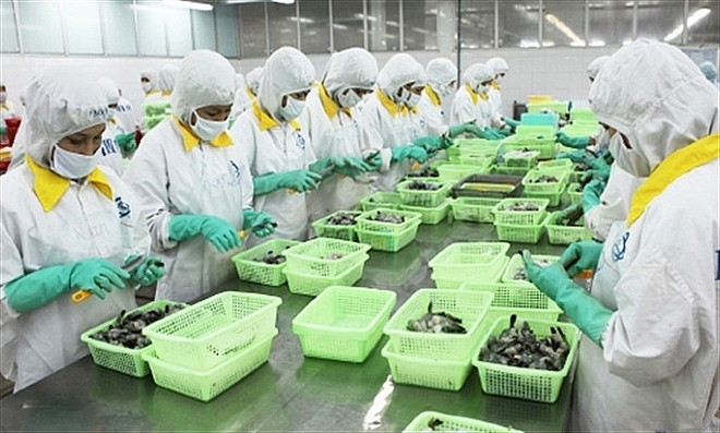 2022年第一季度朔庄省出口额增长近45% ảnh 1 2022年第一季度朔庄省出口额增长近45% ảnh 1