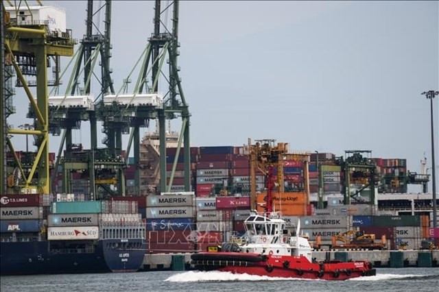 东南亚国家经济复苏或将放缓 ảnh 1