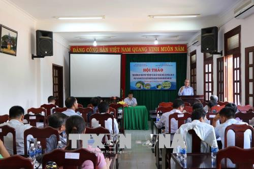 6月胡志明市消费价格指数环比增长0.55% ảnh 1 6月胡志明市消费价格指数环比增长0.55% ảnh 1