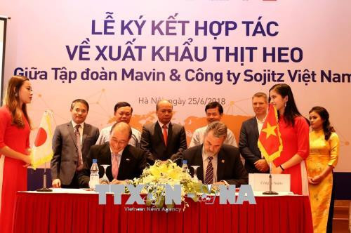 越南首次成功向国外出口猪肉 ảnh 1 越南首次成功向国外出口猪肉 ảnh 1