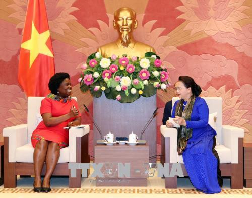 阮氏金银会见世界银行东亚与太平洋地区副行长维多利亚·克瓦 ảnh 2 阮氏金银会见世界银行东亚与太平洋地区副行长维多利亚·克瓦 ảnh 2