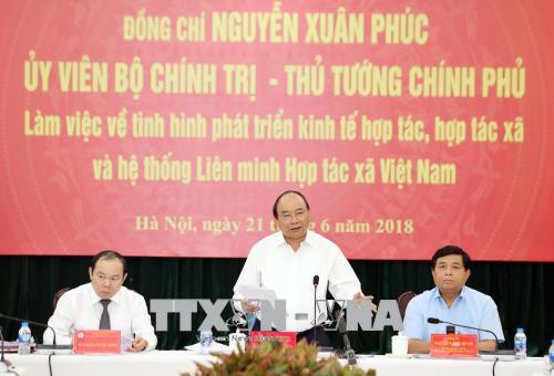 政府总理阮春福:合作社联盟在越南参与国际一体化肩负着重要使命 ảnh 2 政府总理阮春福:合作社联盟在越南参与国际一体化肩负着重要使命 ảnh 2