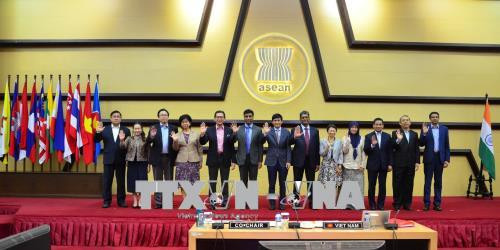 越南共同主持召开第18次东盟印度联合合作委员会会议 ảnh 2