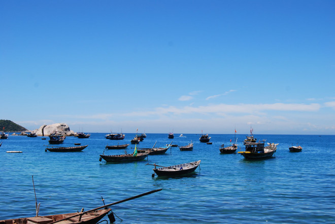 加强环保工作 努力保护与发挥占婆岛世界生物圈储备区的价值 ảnh 1 加强环保工作 努力保护与发挥占婆岛世界生物圈储备区的价值 ảnh 1