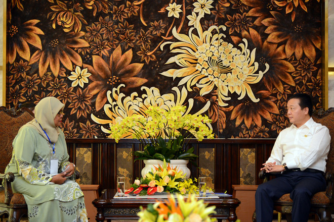 联合国人居署协助越南提高人居环境质量和生态系统质量 ảnh 1