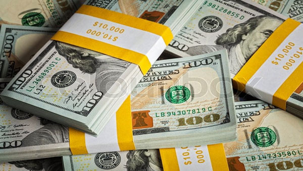 20日越盾兑美元中心汇率上涨15越盾 ảnh 1